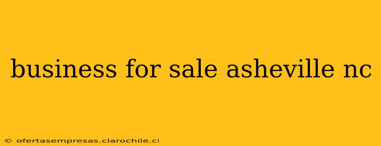 business for sale asheville nc