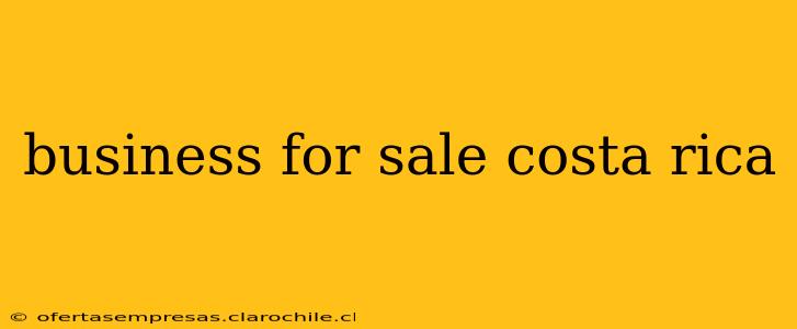 business for sale costa rica