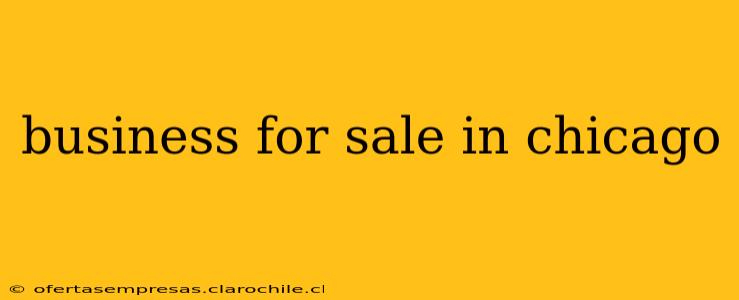 business for sale in chicago