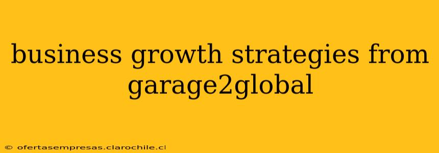 business growth strategies from garage2global