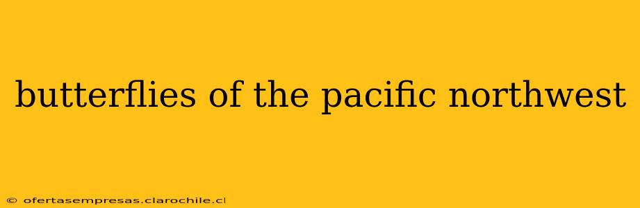 butterflies of the pacific northwest