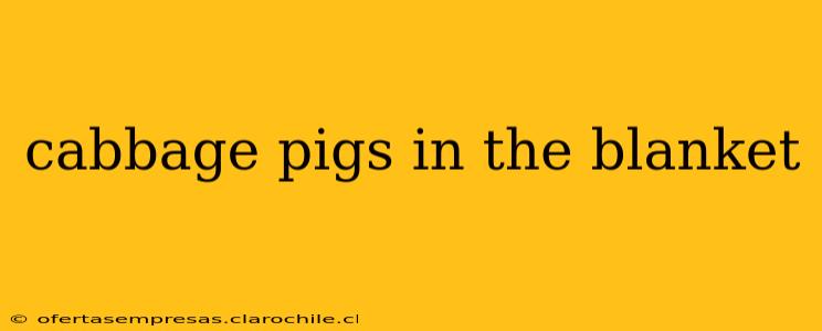 cabbage pigs in the blanket