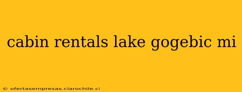 cabin rentals lake gogebic mi