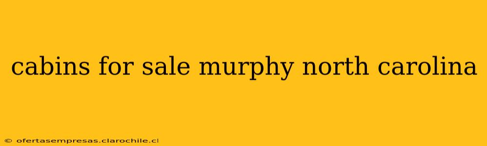 cabins for sale murphy north carolina