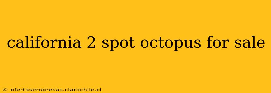 california 2 spot octopus for sale