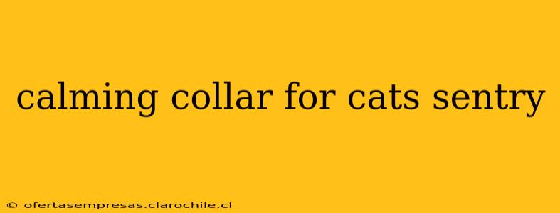 calming collar for cats sentry