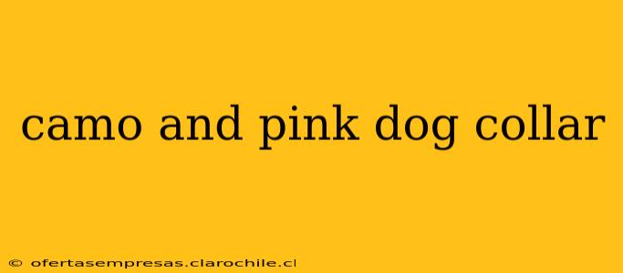 camo and pink dog collar