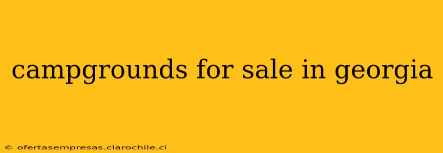 campgrounds for sale in georgia