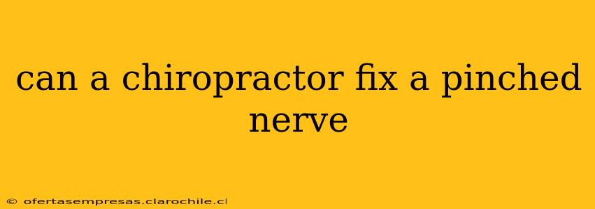 can a chiropractor fix a pinched nerve