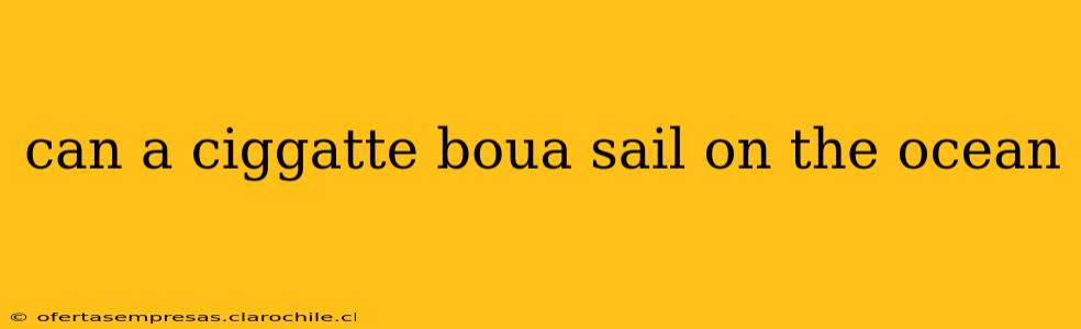 can a ciggatte boua sail on the ocean