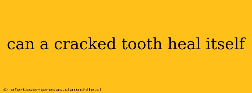 can a cracked tooth heal itself