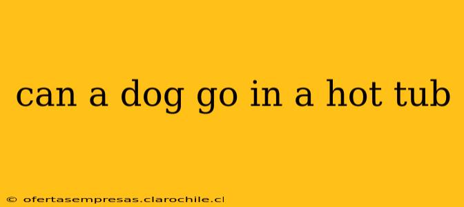 can a dog go in a hot tub
