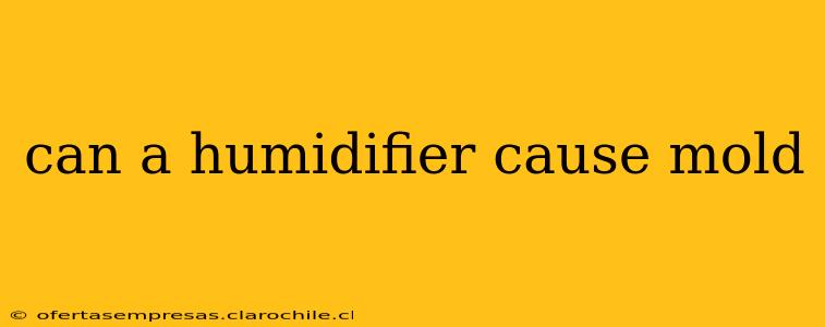 can a humidifier cause mold