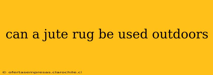 can a jute rug be used outdoors