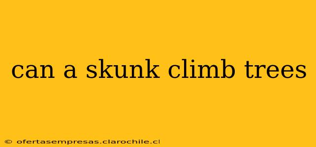can a skunk climb trees