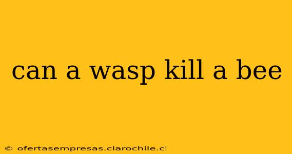can a wasp kill a bee