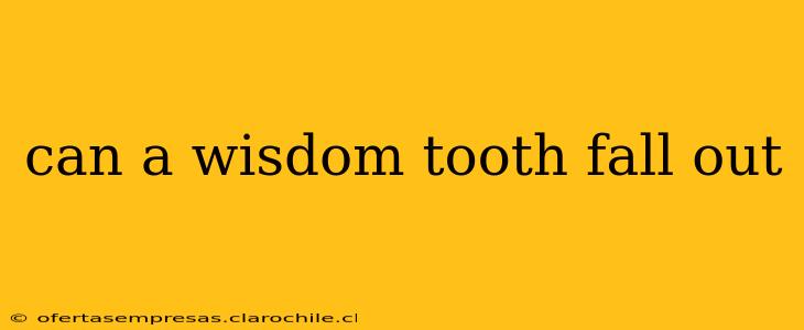 can a wisdom tooth fall out