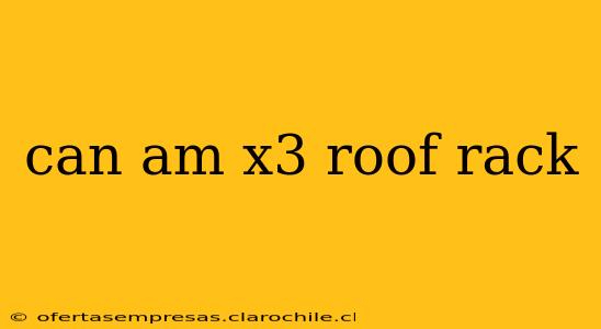 can am x3 roof rack