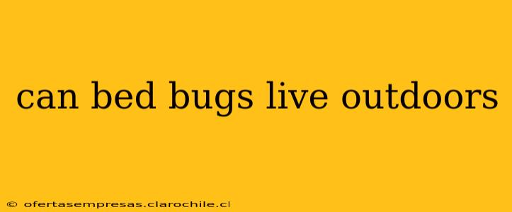 can bed bugs live outdoors