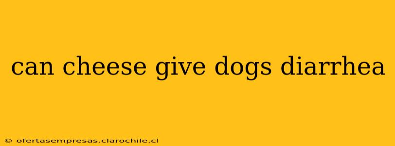 can cheese give dogs diarrhea