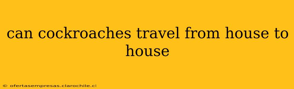 can cockroaches travel from house to house