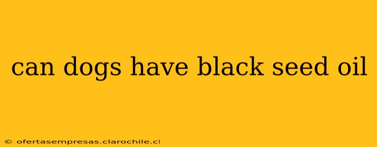 can dogs have black seed oil