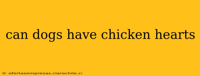 can dogs have chicken hearts