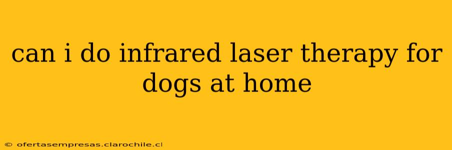 can i do infrared laser therapy for dogs at home