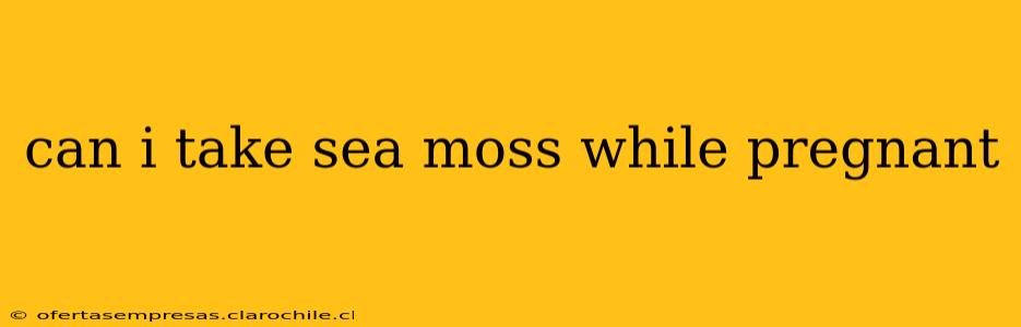 can i take sea moss while pregnant