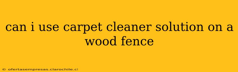 can i use carpet cleaner solution on a wood fence