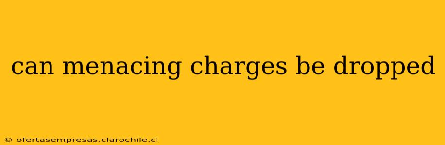can menacing charges be dropped