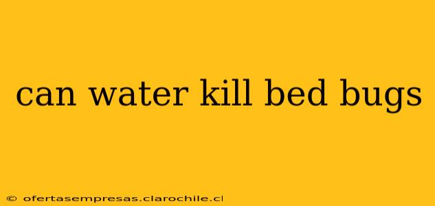 can water kill bed bugs