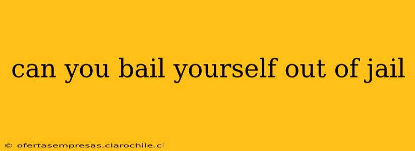 can you bail yourself out of jail
