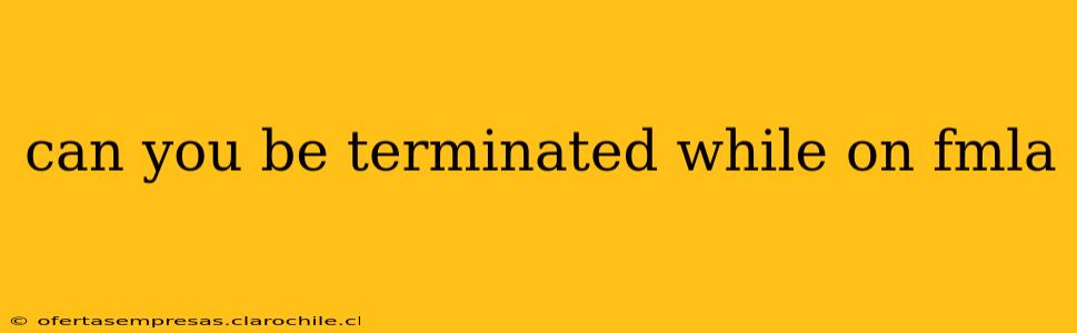 can you be terminated while on fmla