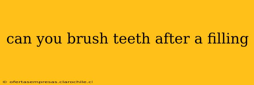 can you brush teeth after a filling
