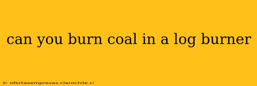 can you burn coal in a log burner