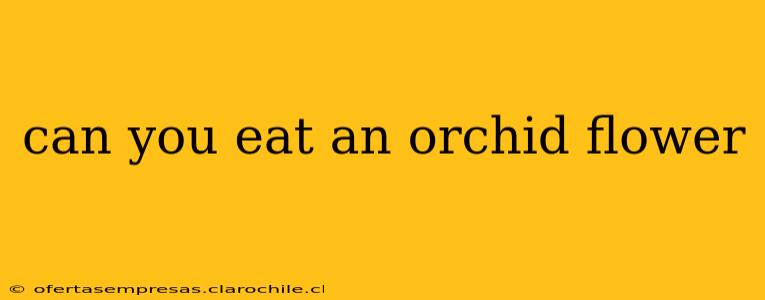 can you eat an orchid flower