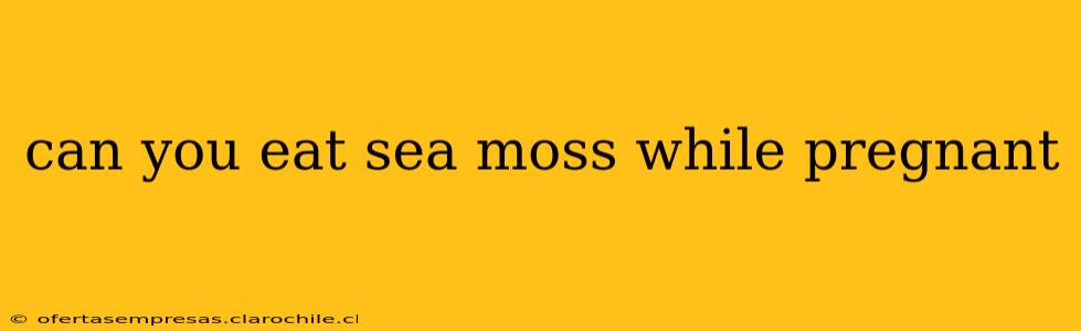 can you eat sea moss while pregnant