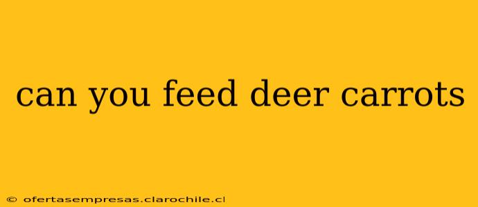 can you feed deer carrots