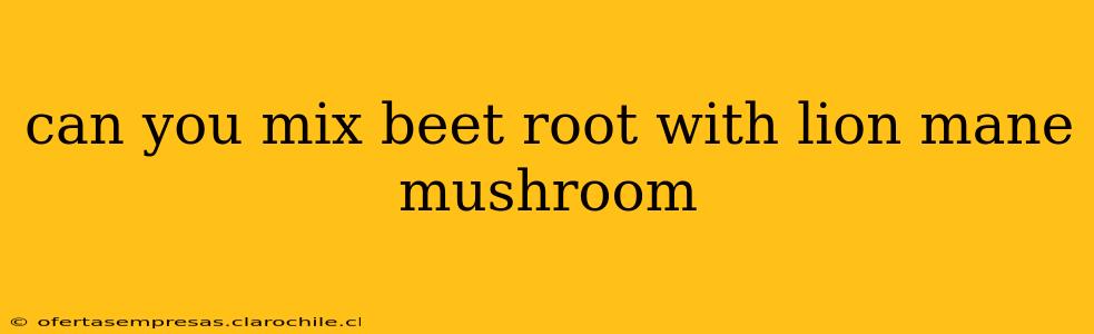 can you mix beet root with lion mane mushroom