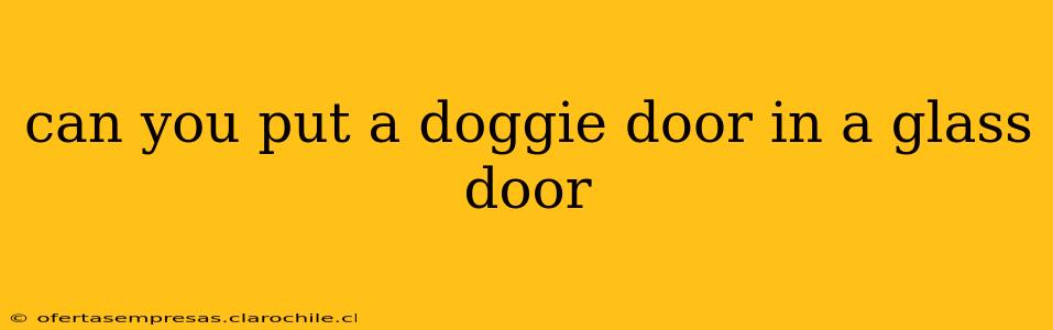 can you put a doggie door in a glass door