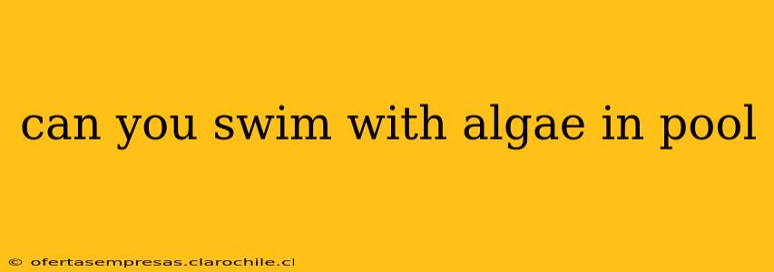 can you swim with algae in pool