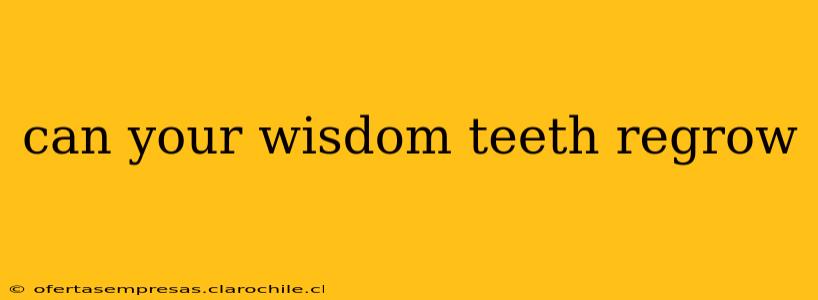 can your wisdom teeth regrow
