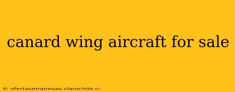 canard wing aircraft for sale