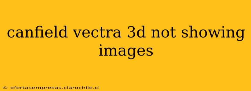 canfield vectra 3d not showing images