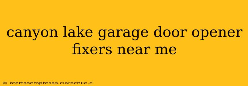 canyon lake garage door opener fixers near me