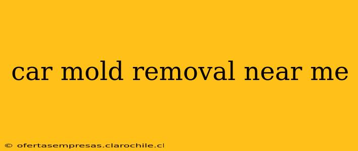 car mold removal near me