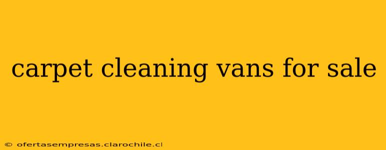 carpet cleaning vans for sale