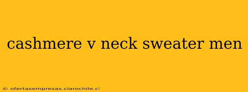cashmere v neck sweater men