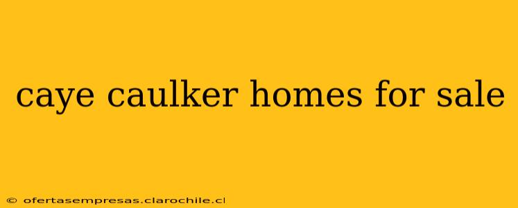 caye caulker homes for sale